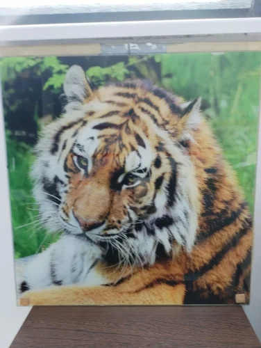 Sticla printata 2